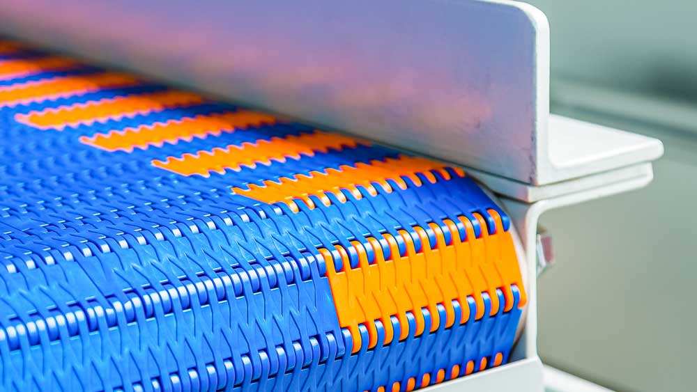Plastic link strap